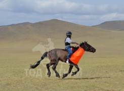 М.Агваандандарын саарал 