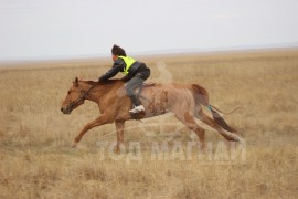 Манлайн хүү одтой наадав