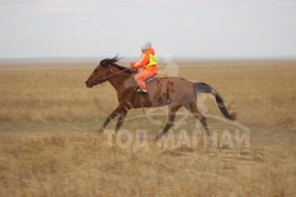 Манлайн хүү одтой наадав