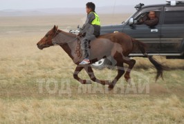 Манлайн хүү одтой наадав