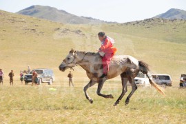 Долоод хурдалсан аймгийн Алдарт уяач М.Мөнхбаярын шувуун бор