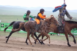  МУ-ын Алдарт уяач Намжилцэрэнгийн Даш-Өлзийн зээрд 