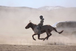 Айргийн дөрөвт хурдалсан Алтангэрэлийн зээрд хязаалан