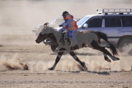 Айргийн дөрөвт хурдалсан Батжаргалын халтар шүдлэн