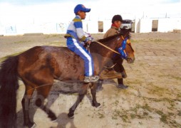 Айргийн гуравт хурдалсан Пүрэвдагвын хээр соёолон