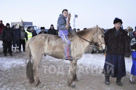 Айргийн тавд хурдалсан морь