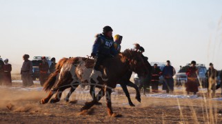 Зургаад хурдалсан сумын Алдарт уяач Түвшинтөгсийн хээр /66/