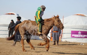 Нямсүрэнгийн Базаргарьдын хонгор халзан