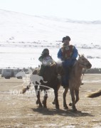 Нямсүрэнгийн Базаргарьдын хонгор халзан хөлсний хашаа руу ирж буй нь