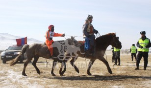 Баттөмөрийн Болдбаатарын бор морь хөлсний хашаа руу ирж буй