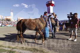 АХ-ын 90 жилийн ойн улсын баяр наадамд түрүүлж айрагдсан хурдан азарганууд