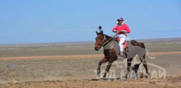 “Увс төвийн бүсийн хурд-2015” хурдан их насны морьд