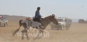 “Увс төвийн бүсийн хурд-2015” хурдан их насны морьд