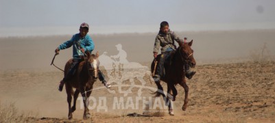 Айргийн дөрөв, тав-Баянжаргалын зээрд, Гантулгын бор халзан 