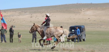 Айргийн дөрөв-Балдоржийн хонгор