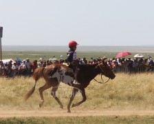 Ес-Г.Батсайханы хонгор цагаан зээрд