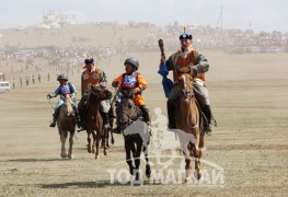 Хонгор нутгийн хийморь хурдан саарал