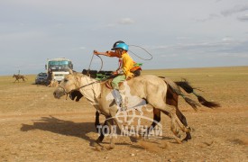 Айргийн тав, зургаа