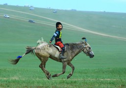 Зургаа-Ч.Сайханбаярын ягаан халзан