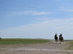 Говийн бүсийн уралдааны эрлийз дээд ангилалд эхний 10-т хурдалсан хурдан хүлгүүд