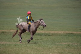 Айргийн гурав-Ш.Лхамсүрэнгийн загал