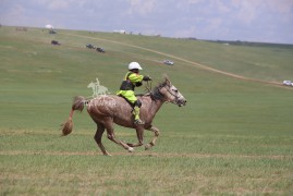 Айргийн дөрөв-О.Батбилэгийн Үзэм бор