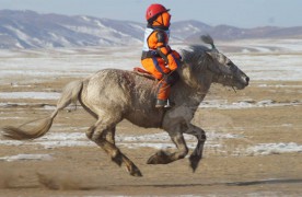 Хэнтий аймгийн баруун бүсийн уралдаанаас...