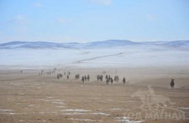 Хэнтий аймгийн баруун бүсийн уралдаанаас...