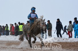 “Жавхлант шаргын хурд-2016” уралдааны хурдан азарганууд