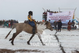 Д.Эрдэнэцогтын саарал