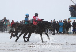 Ц.Батсайханы хар, Ц.Чимэдбавуугийн хээр