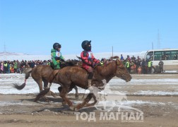 П.Энхтайваны хонгор