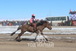 Ж.Баттулгын хул