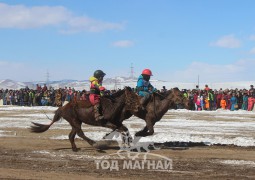 Долгоржавын бор, Алтсүхийн хээр