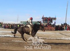 Гантулгын хээр алаг