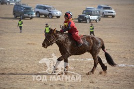 Рэнцэндагвын хүрэн буурал