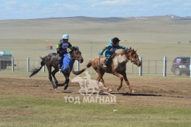 Эрлийз дунд айргийн гурав, дөрөв-Ж.Мөнхтөрийн хонгор халзан, Амгаланбаатарын халтар