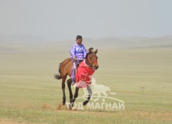 Айргийн гурав-Х.Бат-Эрдэнийн хээр