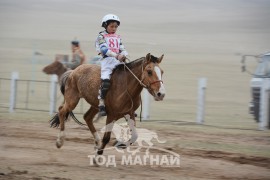 Айргийн гурав - П.Төмөр-Очирын хонгор халзан