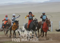 Айргийн тав - Б.Золзаяагийн бор /170 дугаартай/