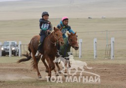 13, 14 - С.Дугарсүрэнгийн хүрэн, С.Одбаярын зээрд