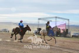 Эрлийз дааганы найм, ес