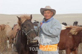 Сумын Алдарт уяач Ч.Ганхуяг: Адуугаа сайжруулж байгаад өндөр довонд уралдана