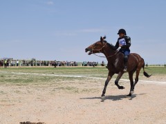 Говийн бүсийн уралдааны эрлийз дунд ангилалд эхний 10-т хурдалсан хурдан хүлгүүд