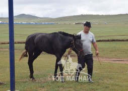 Аймгийн Алдарт уяач Ж.Мөнхсүрэн: Төрийн наадмаас үнэндээ сүрдэж байсан