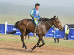 Айргийн дөрөв-С.Лувсанбалдангийн халтар