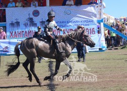 22-Ж.Нямжавын саарал