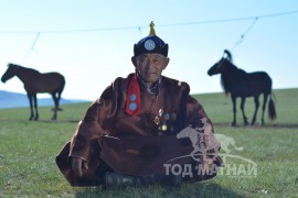 Дүүргийн Алдарт уяач К.Анаар:Тууштай уясан бол саарал азарга илүү ч амжилт үзүүлэх байсан