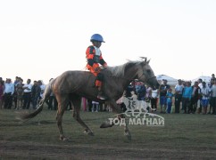 21-Пүрэвбаатарын шарга халзан