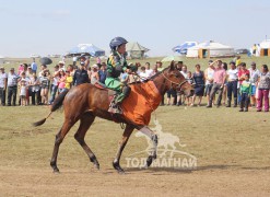 28-Даваасамбуугийн хээр